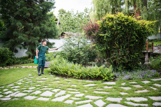 Best Pest Control Near Me in Indian River Estates, FL